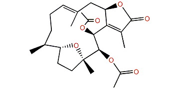 Pachyclavulariolide G